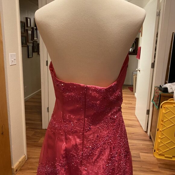 #28) Evening Gown: Strawberry Starburst - Picture 11 of 11